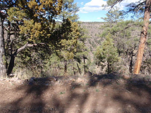 A side view of Black Canyon (GDMBR, Gila NF, NM, 31 Mar 2013).